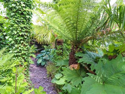 Picture 27
